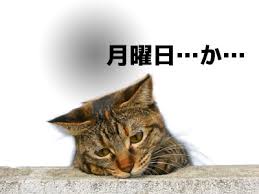 monday