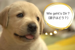 Wie geht’s Dir