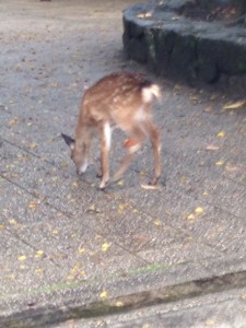 写真 2